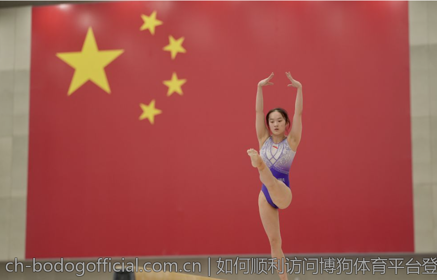 如何顺利访问博狗体育平台登录