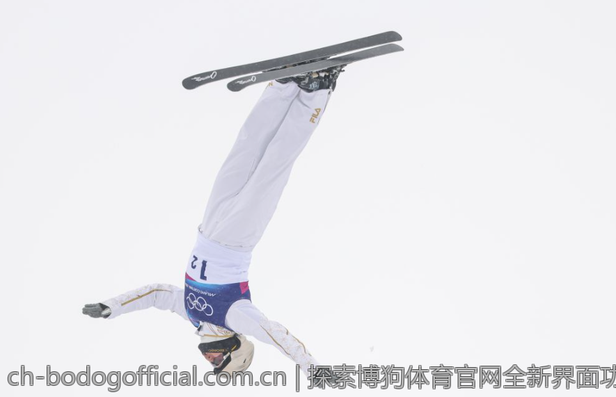 探索博狗体育官网全新界面功能与优势